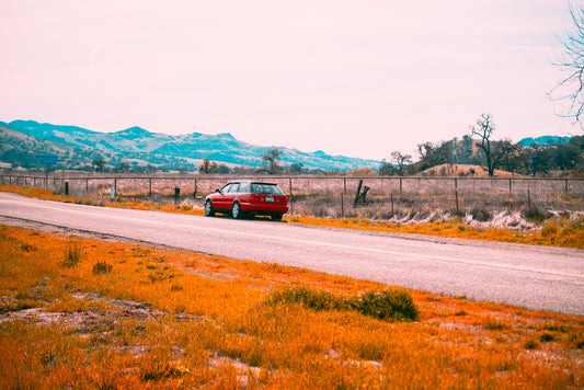 Audi Wagon